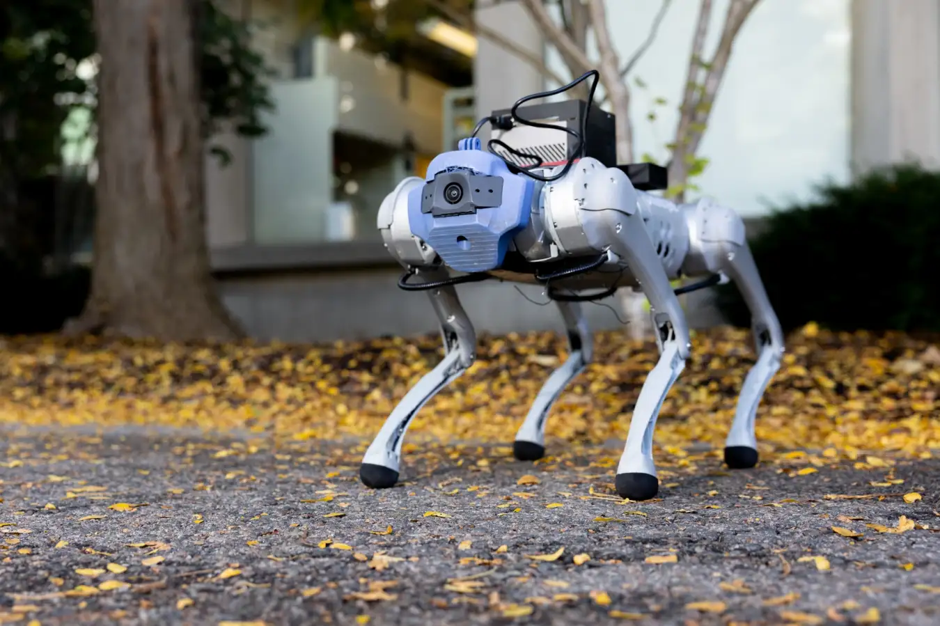 Instructables: Empowering Creators, One Project at a Time